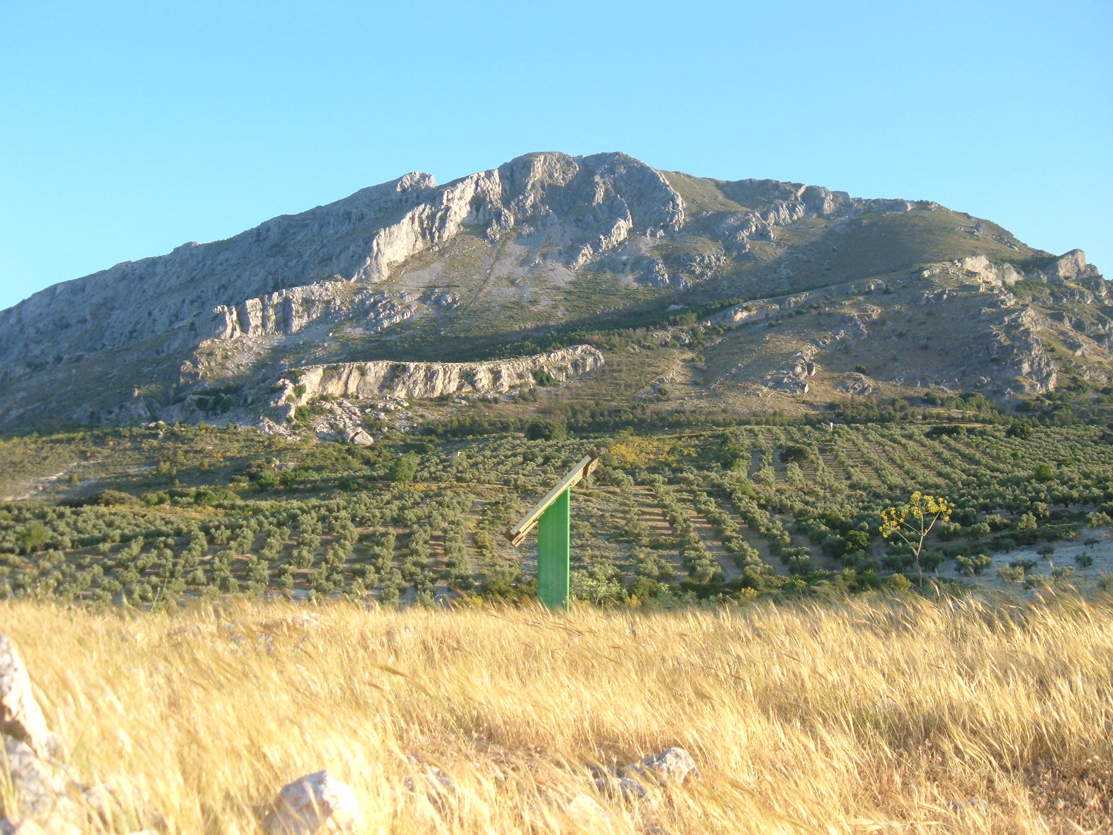 Ruta de senderismo didáctica “Pinar de Cánava” Turistour Online