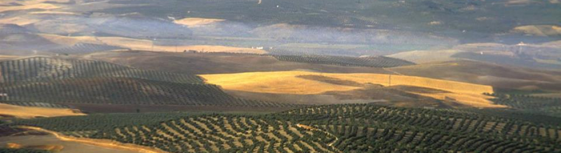 Irse por los cerros de Úbeda